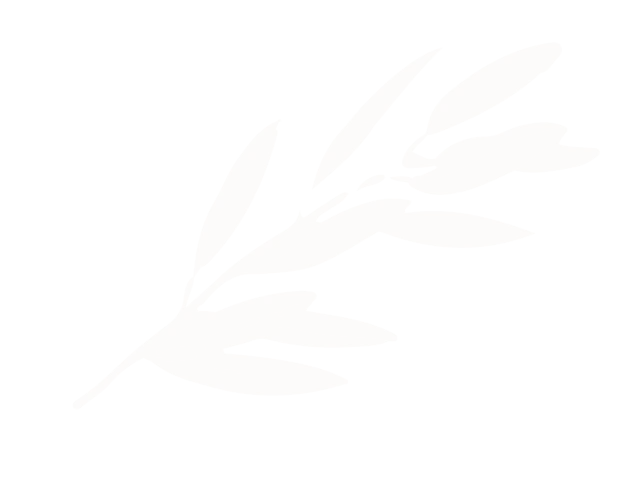 feuille décorative en haut du site